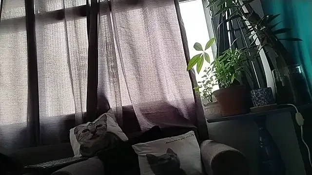 Offline MidnightCamboy on StripChat