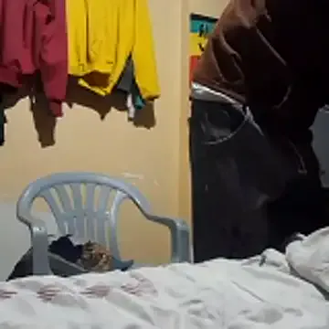 Offline Ortiz3404 on StripChat