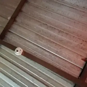 Offline Ortiz3404 on StripChat