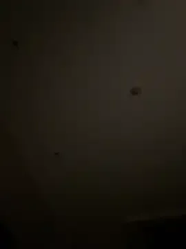 Offline Qidandan778 on StripChat