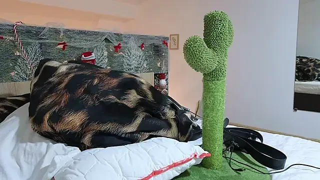 Offline RyanStorm_ on StripChat