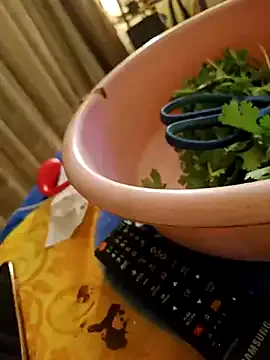 Offline Virgin_ass2019 on StripChat